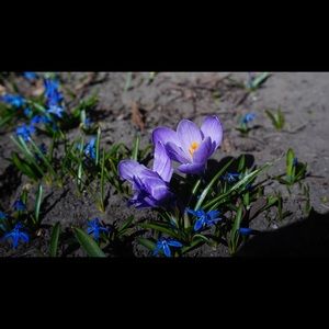 Meet your Posher, Rowen